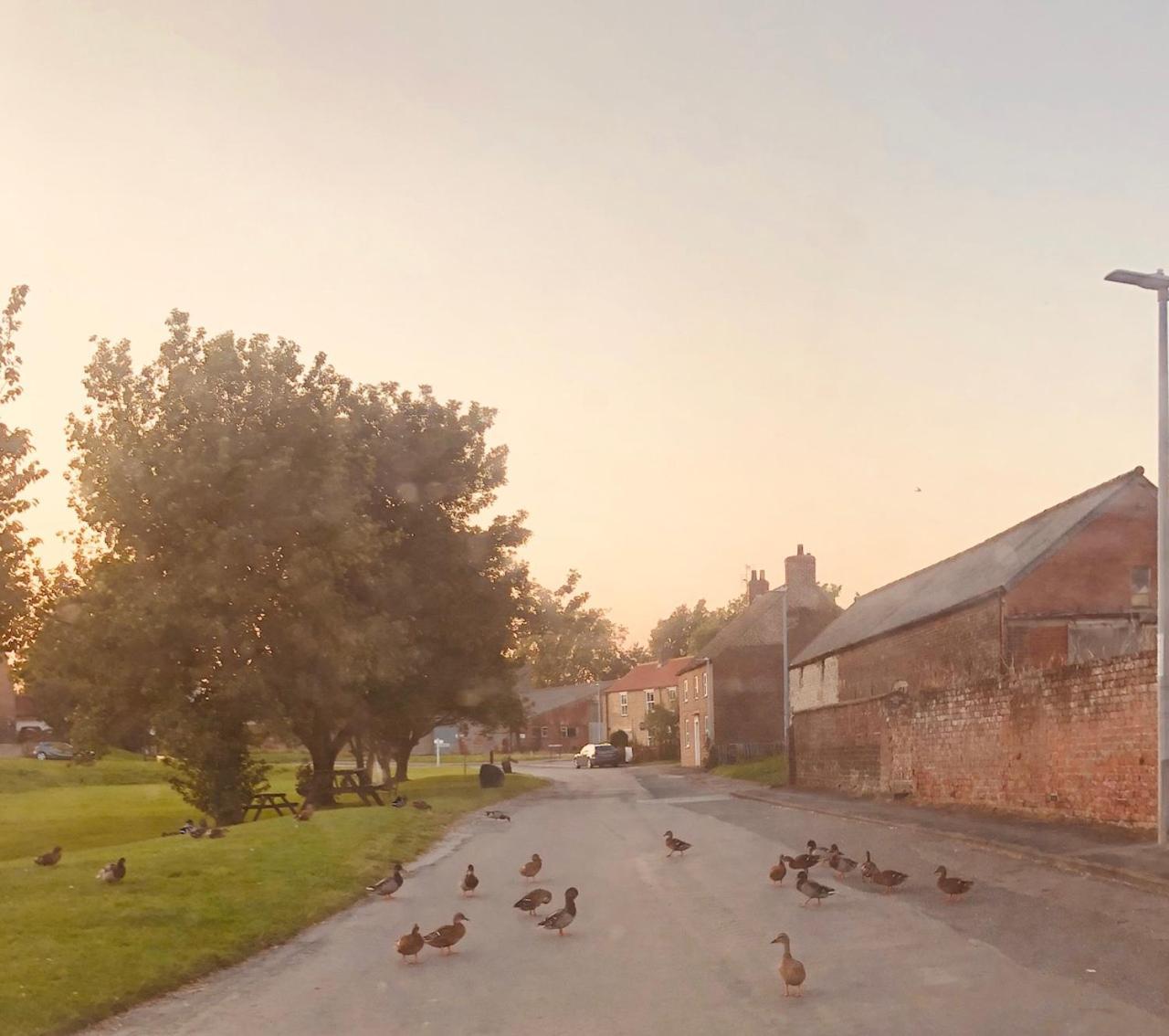 Village Barn Conversion Near York Exteriér fotografie